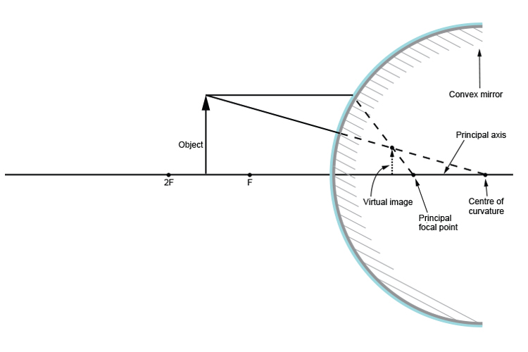 Ray diagram when the object is between 2F and F